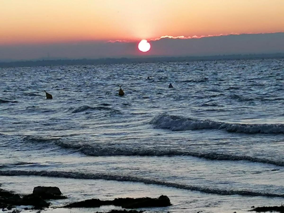Villa La Magnolia - Private Beach Access, Garden, Views Lazise Exterior foto